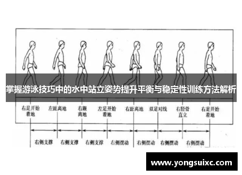 掌握游泳技巧中的水中站立姿势提升平衡与稳定性训练方法解析